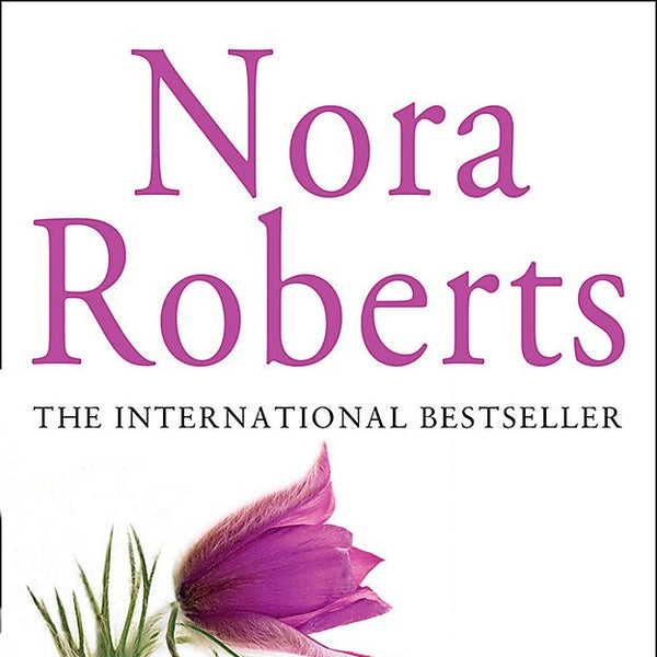 Nora Roberts Holding the Dream cover image