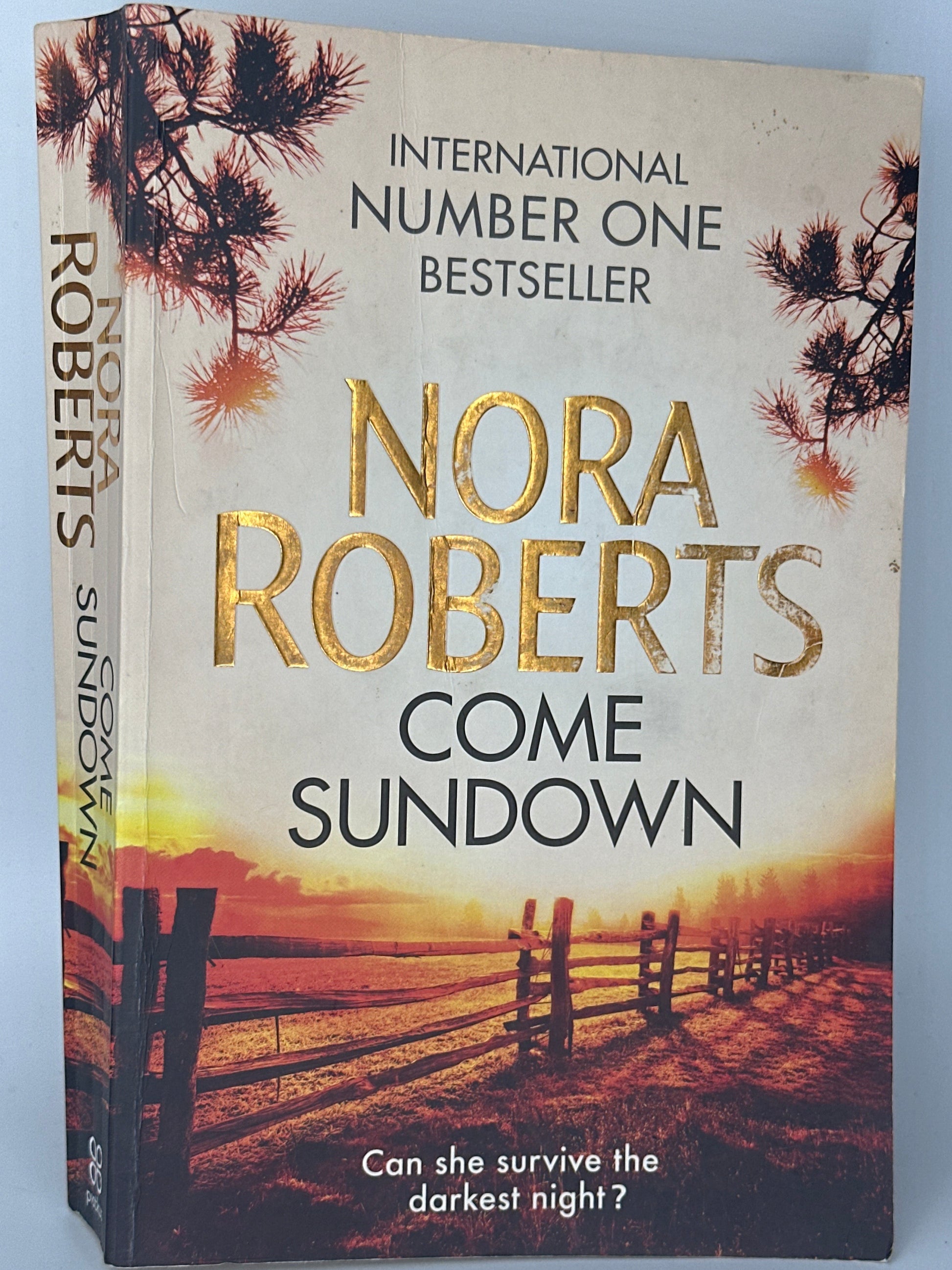 Nora Roberts Come Sundown cover image