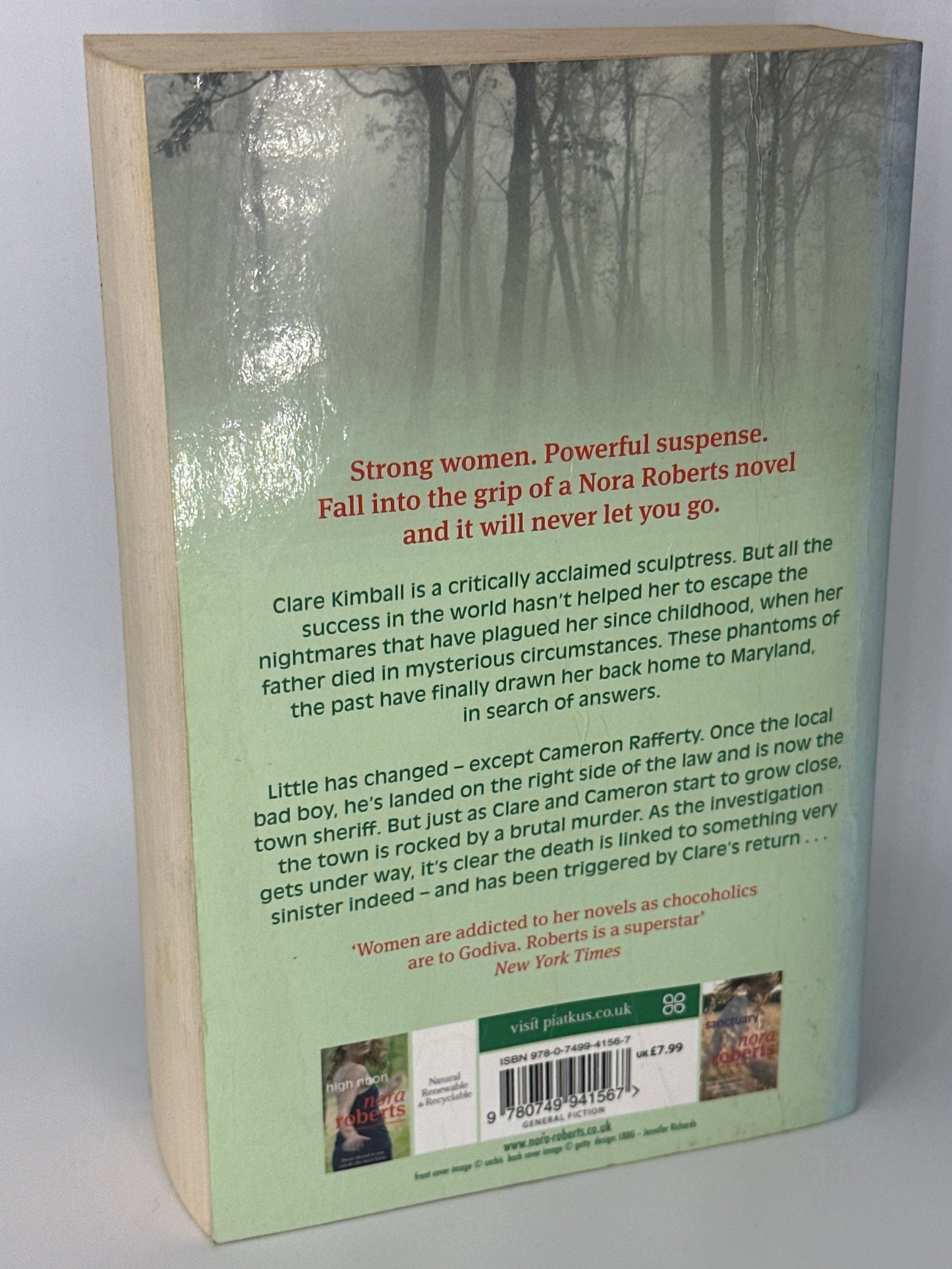 Nora Roberts Divine Evil back cover used books