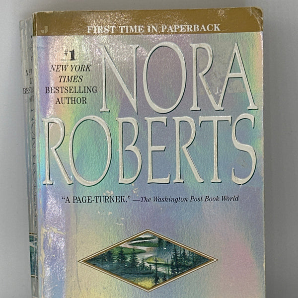 Nora Roberts Rivers End front cover used books