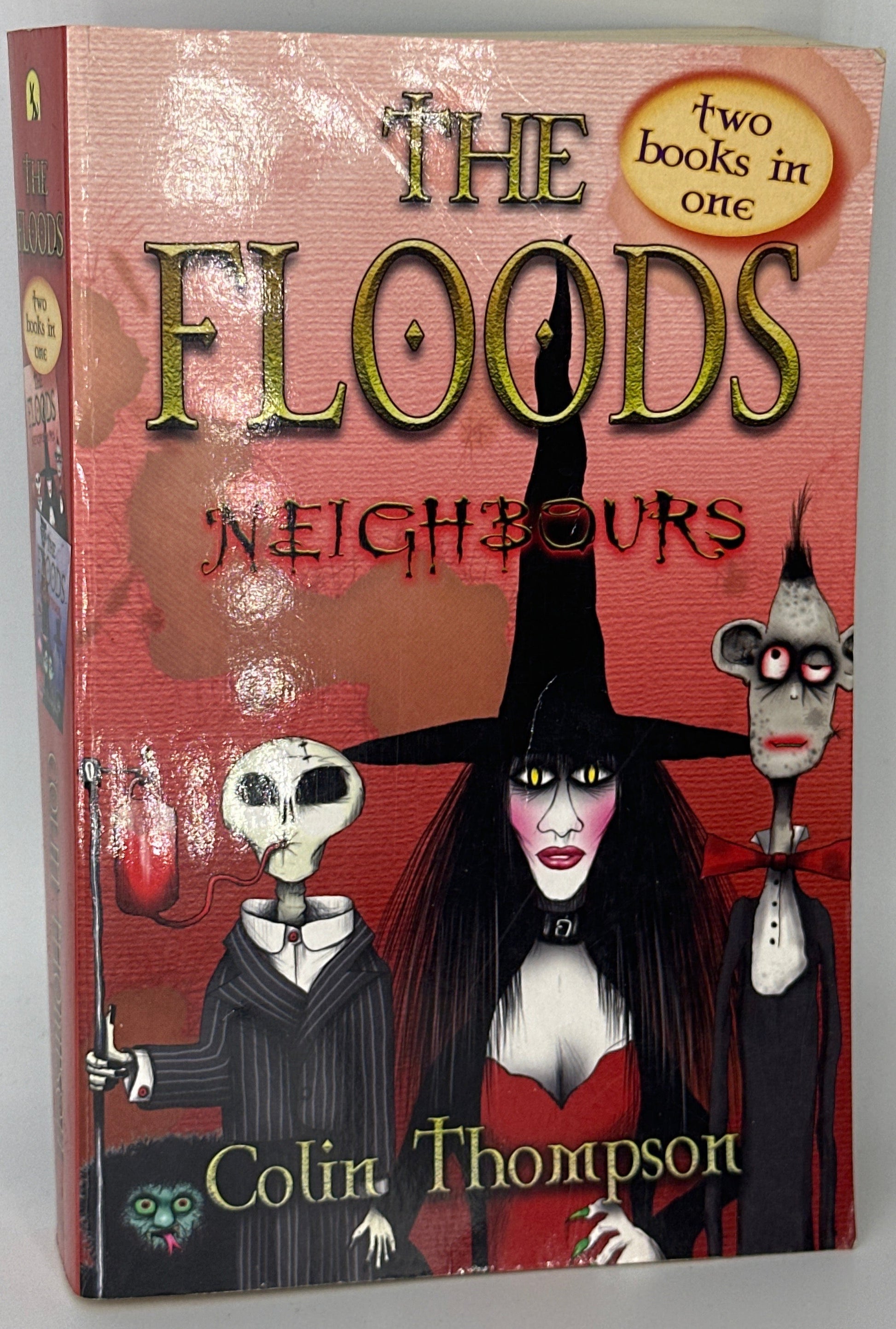 Colin Thompson The Floods Neighbours front cover used books